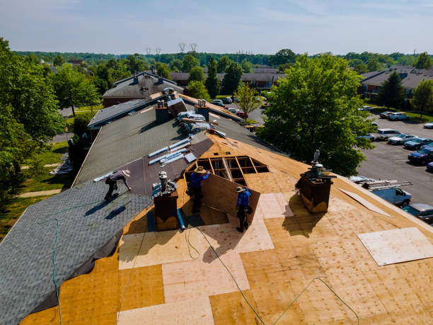 Quick and Trustworthy Emergency Roof Repair Services in Hanceville, AL
